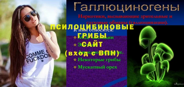 spice Белокуриха