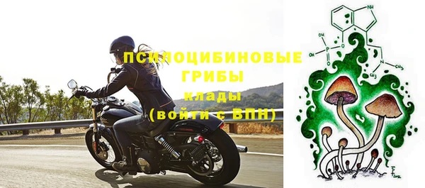 винт Богородск