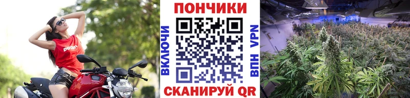 Бошки Шишки Bruce Banner как найти наркотики MEGA маркетплейс Вязники